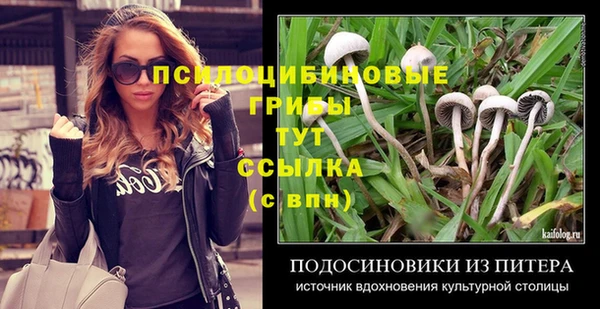 эйфоретик Алексеевка
