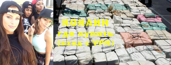 ГАЛЛЮЦИНОГЕННЫЕ ГРИБЫ Алзамай