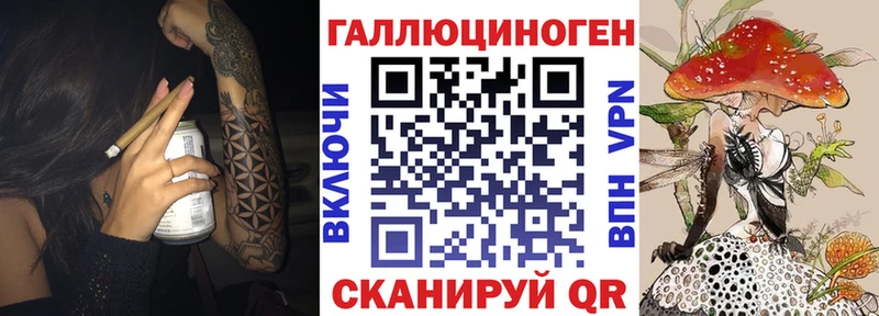 Псилоцибиновые грибы Cubensis  Анжеро-Судженск 