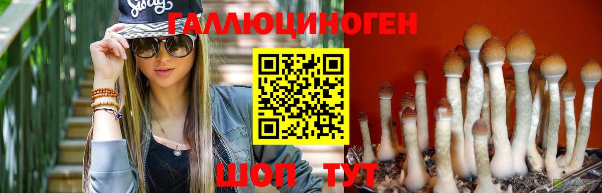 Галлюциногенные грибы Cubensis  Вход с VPN  Анжеро-Судженск 
